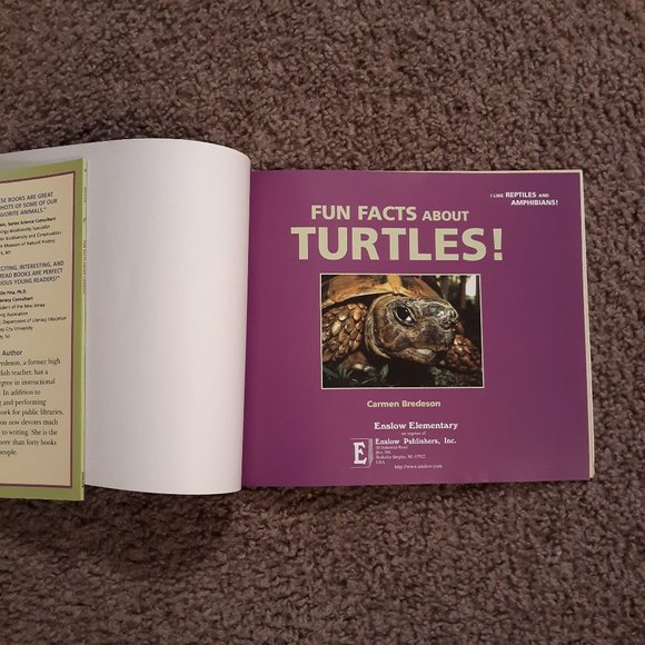 Turtle/Lizard Fun Book Bundle For Kids - Picture 6 of 6